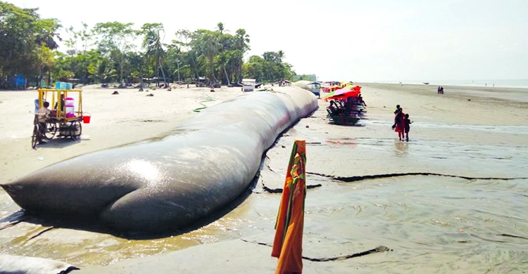 চরমোনাই সায়েখের ভক্তদের কাণ্ডে গভীর রাতে উত্তপ্ত কুয়াকাটা